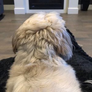 Meet your Posher, Colleen